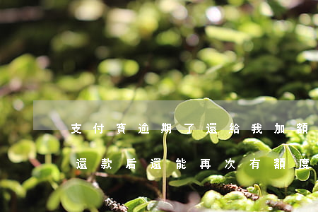 支付寶逾期了還給我加額度(支付寶逾期半年還款后還能再次有額度么)