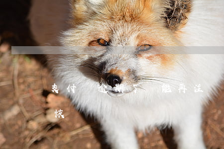 支付寶逾期了還能再注冊嗎 支付寶逾期還會恢復嗎