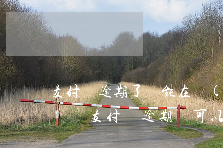 支付寶逾期了還能在網(wǎng)貸借到錢嗎(支付寶逾期還可以在別的網(wǎng)貸借錢嗎)