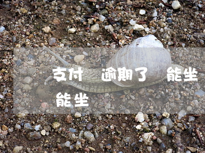 支付寶逾期了還能坐飛機(支付寶花唄逾期了能坐飛機嗎)