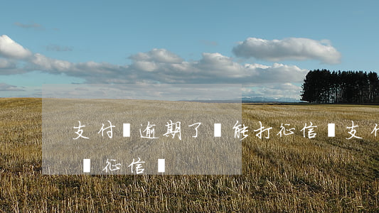 支付寶逾期了還能打征信嗎(支付寶逾期過影響征信嗎)