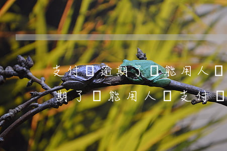支付寶逾期了還能用人臉支付嗎-支付寶逾期了還能用人臉支付嗎?