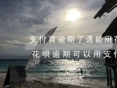 支付寶逾期了還能用花唄向別人掃碼付款嗎（花唄逾期可以用支付寶付款碼）