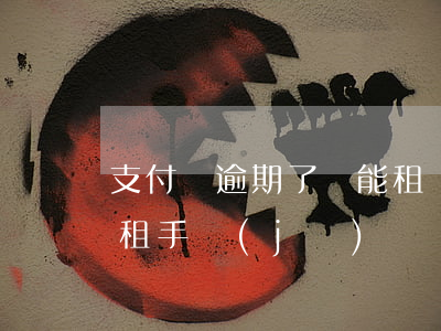 支付寶逾期了還能租車嗎(有逾期支付寶上能租手機(jī)嗎)