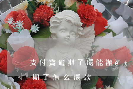 支付寶逾期了還能辦etc卡嗎(etc卡逾期了怎么還款)