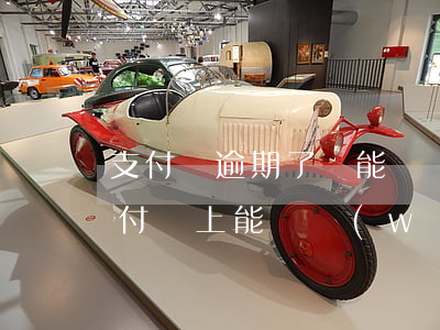 支付寶逾期了還能開網(wǎng)店嗎 支付寶上能開網(wǎng)店嗎