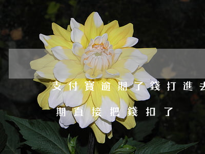支付寶逾期了錢打進去會馬上扣嗎(支付寶逾期直接把錢扣了)