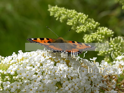 支付寶逾期了錢轉(zhuǎn)進(jìn)去會(huì)被扣掉嗎-支付寶逾期了錢轉(zhuǎn)進(jìn)去會(huì)被扣掉嗎安全嗎
