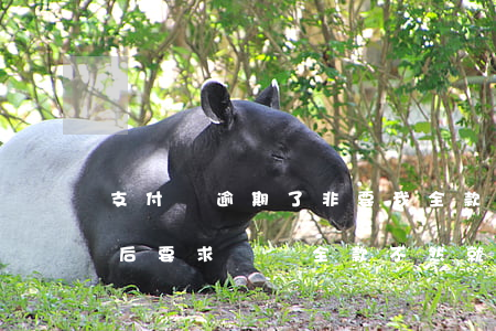 支付寶逾期了非要我全款-支付寶還清逾期后要求償還全款,不然就上門