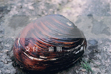 支付寶逾期二個月會銀行卡停