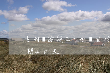 支付寶逾期二十分鐘（支付寶APP隨行付逾期20天）