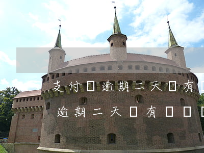 支付寶逾期二天沒有還錢會怎么樣-支付寶逾期二天沒有還錢會怎么樣嗎