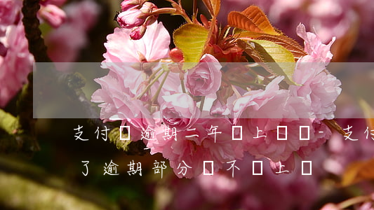 支付寶逾期二年會上門嗎-支付寶逾期后還了逾期部分會不會上門