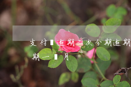 支付寶逾期二次分期逾期（支付寶分期還款逾期一個月）