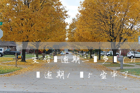 支付寶逾期二萬多會(huì)坐牢嗎 支付寶逾期1萬5坐牢了