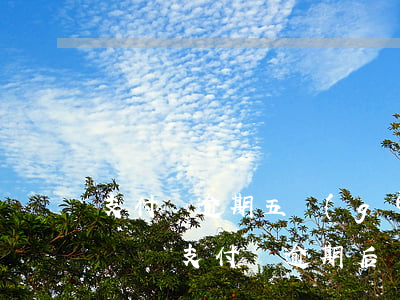 支付寶逾期五個(gè)月會(huì)上門嗎 支付寶逾期后還了逾期部分會(huì)不會(huì)上門