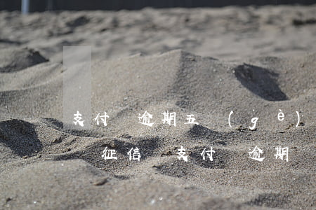 支付寶逾期五個(gè)月會(huì)影響征信嗎(支付寶逾期兩個(gè)月會(huì)不會(huì)上征信)