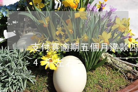 支付寶逾期五個月違款四千多-支付寶逾期4千左右