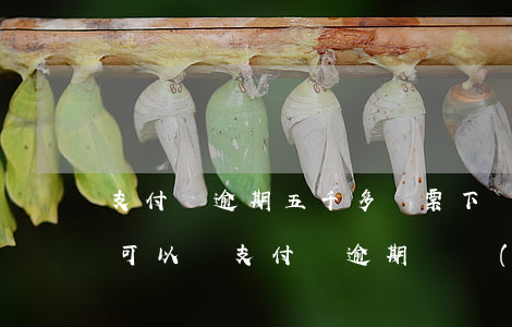 支付寶逾期五千多傳票下來(lái)不去可以嗎（支付寶逾期給說(shuō)傳票）
