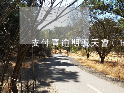 支付寶逾期五天會(huì)影響貸款嗎