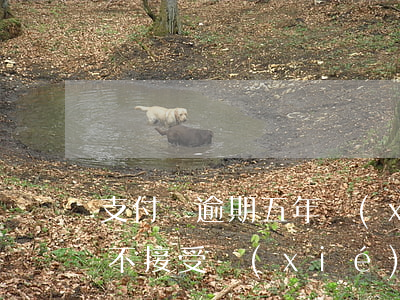 支付寶逾期五年協(xié)商(支付寶逾期不接受協(xié)商)