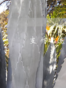 支付寶逾期五次-支付寶逾期5天什么后果