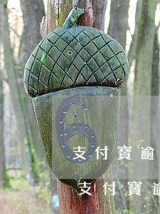 支付寶逾期五萬(wàn)三個(gè)月(支付寶逾期三萬(wàn)多)