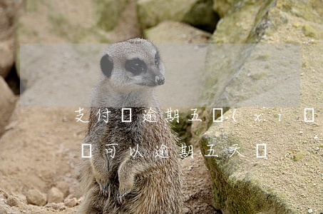 支付寶逾期五險(xiǎn)能交上嗎 支付寶可以逾期五天嗎