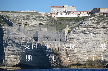 支付寶逾期交保證金會被扣嗎(支付寶解綁逾期還會扣費(fèi)嗎)