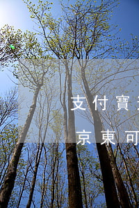 支付寶逾期京東白條可以貸款嗎（支付寶逾期京東可以貸款嗎）