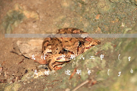 支付寶逾期人工申請(qǐng)最低還款(支付寶逾期半個(gè)月了要求全額還款)