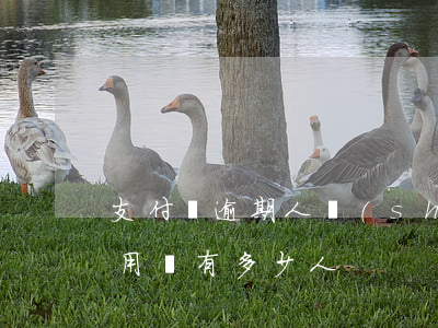 支付寶逾期人數(shù)增多(支付寶逾期用戶有多少人)