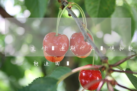 支付寶逾期什么時候扣款 支付寶逾期扣款后能追回嗎?