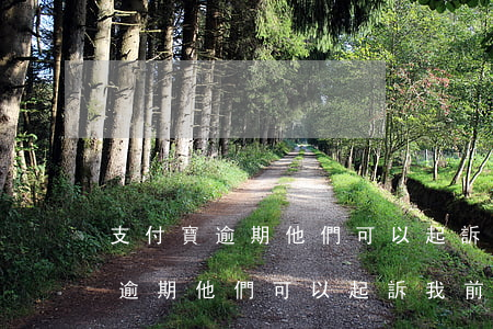 支付寶逾期他們可以起訴我前妻嗎-支付寶逾期他們可以起訴我前妻嗎安全嗎