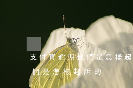 支付寶逾期他們是怎樣起訴的(支付寶逾期他們是怎樣起訴的)