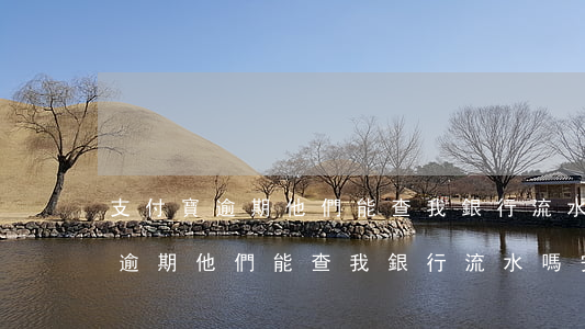 支付寶逾期他們能查我銀行流水嗎-支付寶逾期他們能查我銀行流水嗎安全嗎