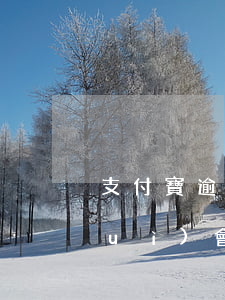 支付寶逾期付不了款（支付寶逾期不理會(huì)會(huì)怎樣）