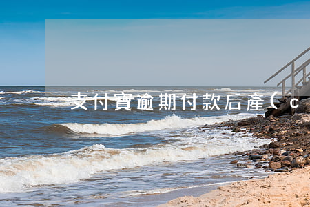 支付寶逾期付款后產(chǎn)生費用