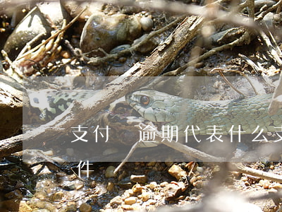 支付寶逾期代表什么 支付寶逾期屬于什么案件