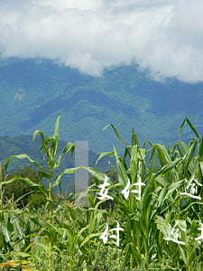 支付寶逾期以什么原因協(xié)商-支付寶逾期協(xié)商不同意