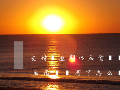 支付寶逾期以后借唄沒有了-支付寶逾期以后借唄沒有了怎么辦