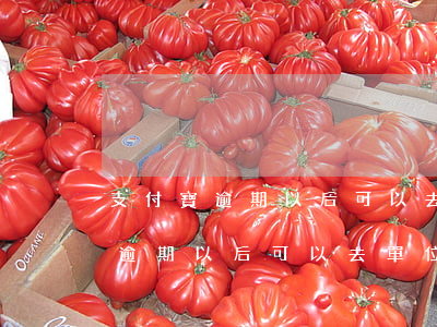 支付寶逾期以后可以去單位上班嗎-支付寶逾期以后可以去單位上班嗎知乎
