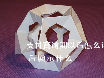 支付寶逾期以后怎么還款(支付寶逾期還完之后顯示什么)