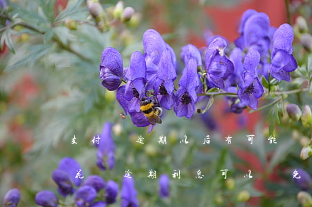 支付寶逾期以后有可能減免利息嗎-支付寶花唄逾期利息可以減免嗎