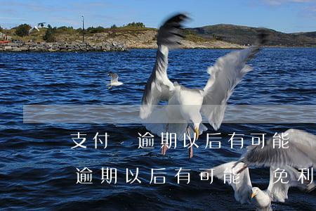 支付寶逾期以后有可能減免利息嗎-支付寶逾期以后有可能減免利息嗎知乎