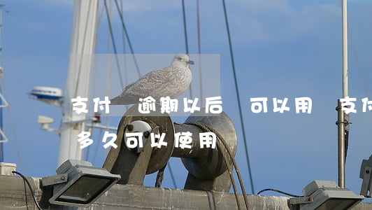 支付寶逾期以后還可以用嗎(支付寶逾期還了多久可以使用)