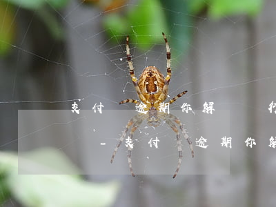 支付寶逾期你解綁銀行卡還會(huì)扣嗎-支付寶逾期你解綁銀行卡還會(huì)扣嗎安全嗎