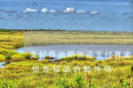 支付寶逾期信函(支付寶逾期會發(fā)失信告知函的郵件嗎)