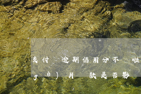 支付寶逾期信用分不長啦(支付寶逾期半個(gè)月還款是否影響信用)