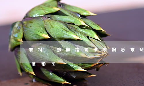 支付寶逾期信用卡不(最近支付寶付款不能用信用卡)